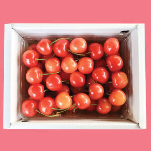 Sato Nishiki Cherries