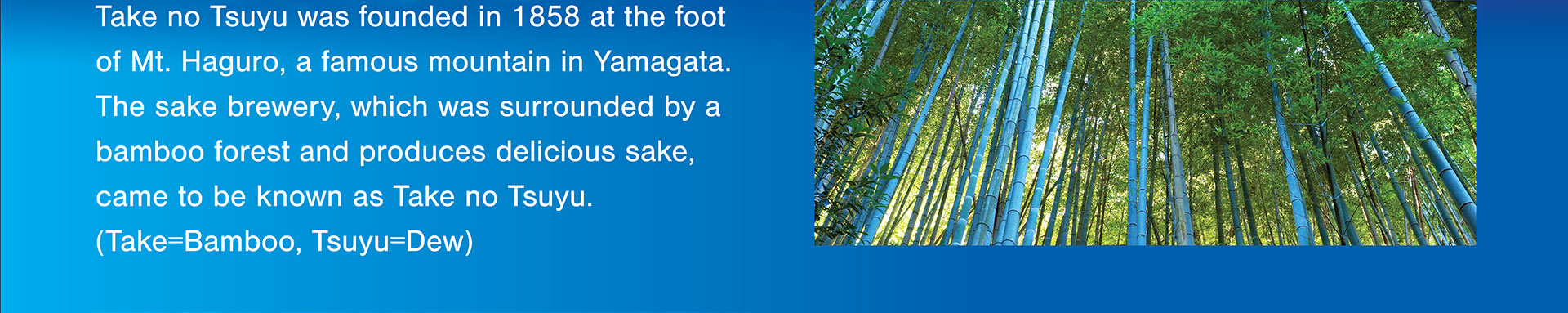 Take no Tsuyu was founded in 1858 at the foot of Mt. Haguro, a famous mountain in Yamagata. The sake brewery, which was surrounded by a bamboo forest and produces delicious sake, came to be known as Take no Tsuyu. (Take=Bamboo, Tsuyu=Dew)